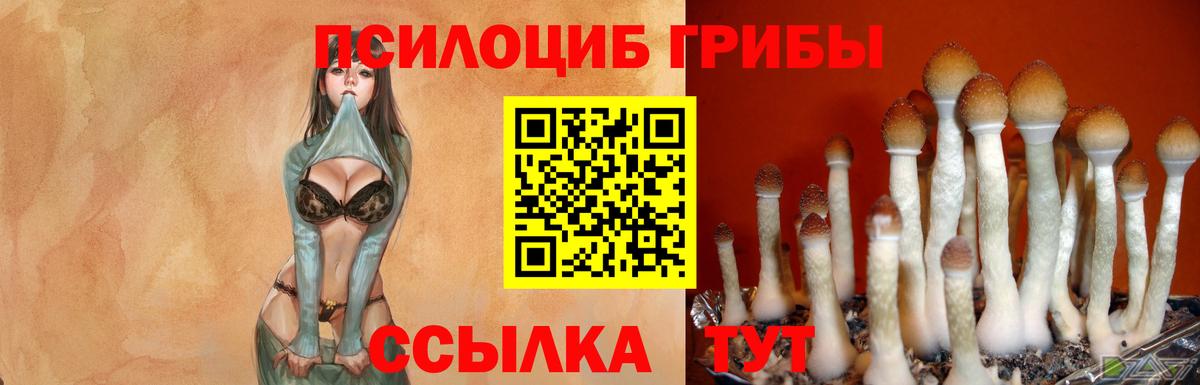 Псилоцибиновые грибы ЛСД Ялуторовск